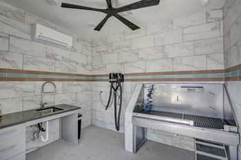 Dog wash station